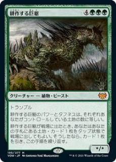 BIGsが選ぶ！『イニストラード：真紅の契り』注目カードTOP3